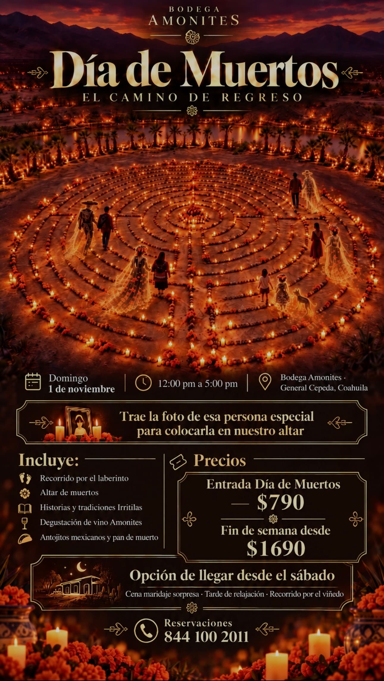 Día de Muertos en Bodega Amonites — El Camino de Regreso