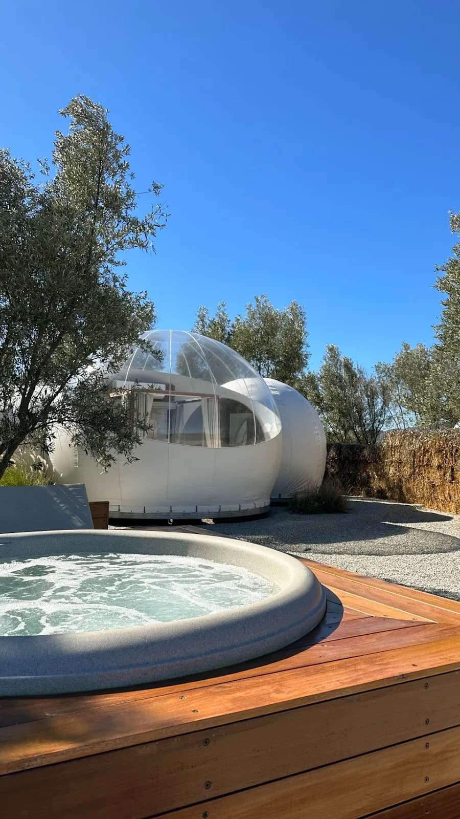 Campera Hotel Burbuja | San Miguel de Allende