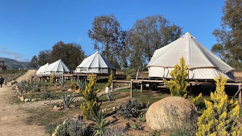 Cosmo Glamping