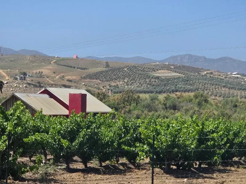 Hotel Boutique Los Viñedos