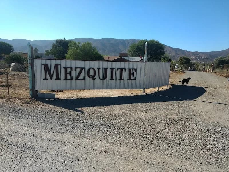 Mezquite