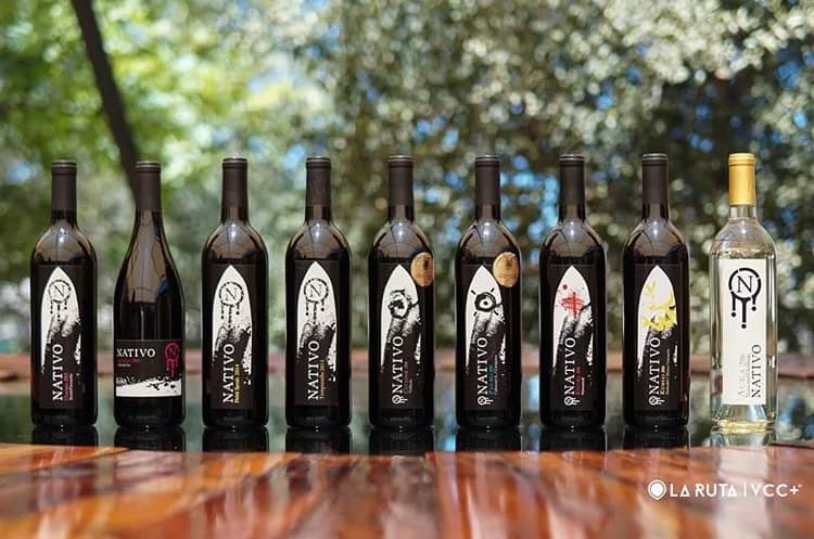 Nativo Vinicola