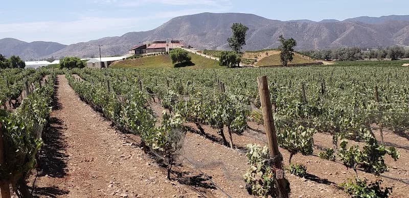 Valle San Vicente