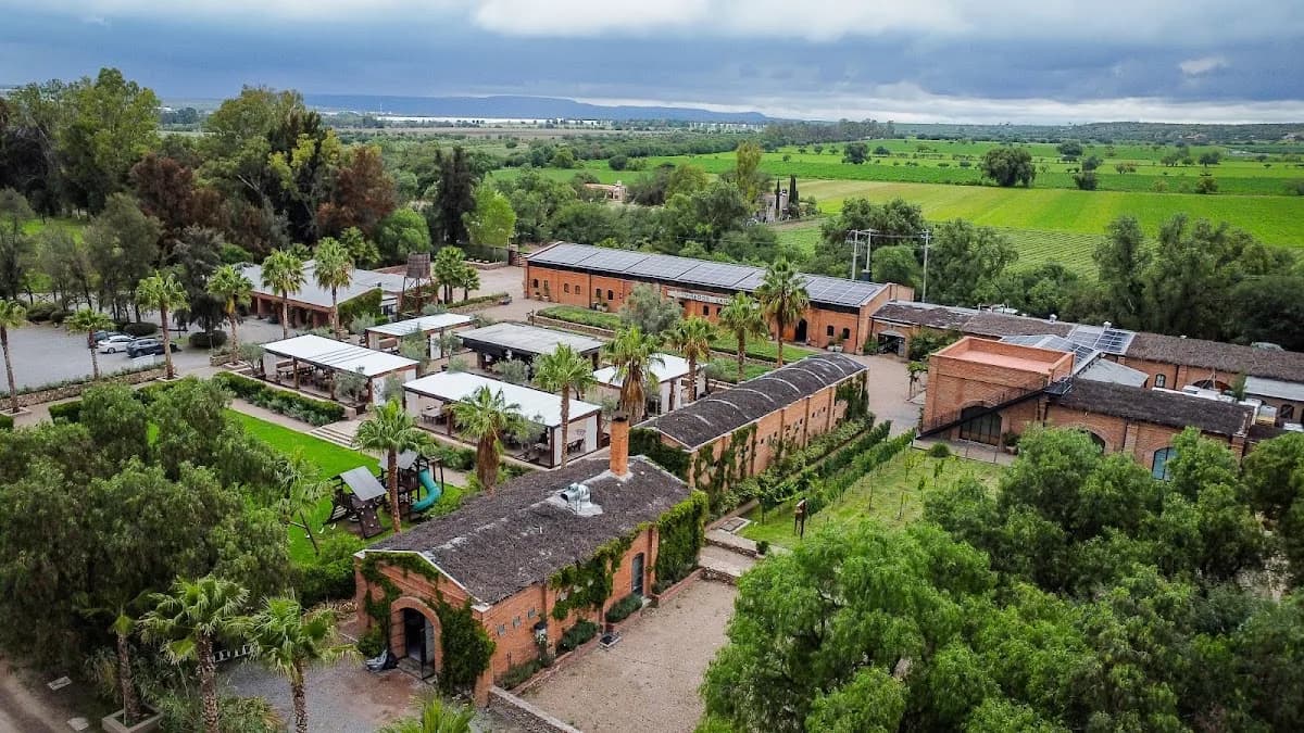 Viñedos San Lucas