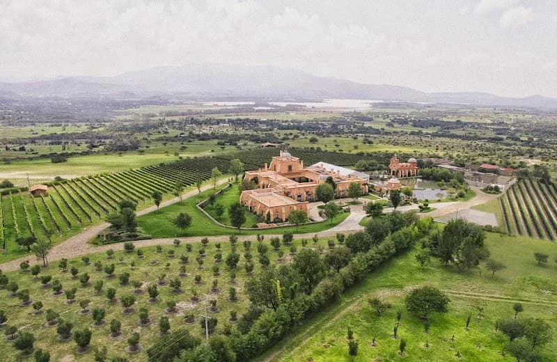 Bodega San José Lavista