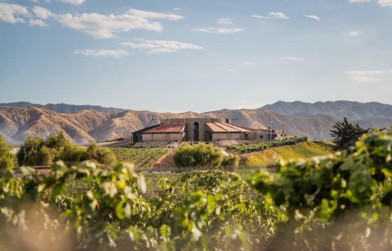 Bodegas de Santo Tomas