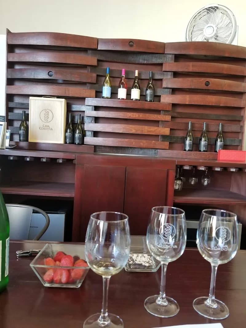 Cava Córdova, Vinícola