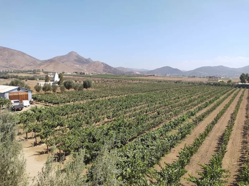 CAVA DON RAÚL