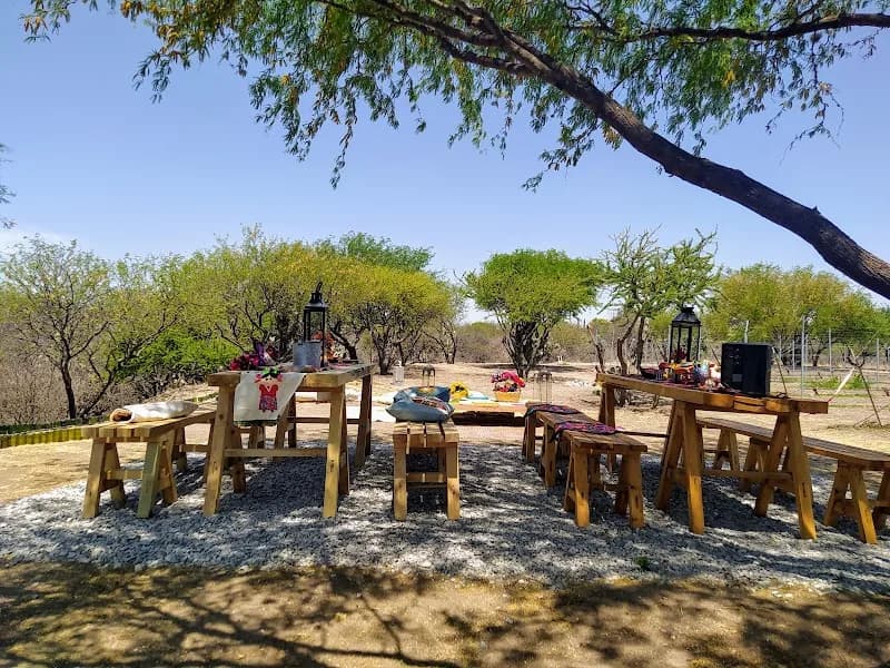 Puente Josefa Vineyards