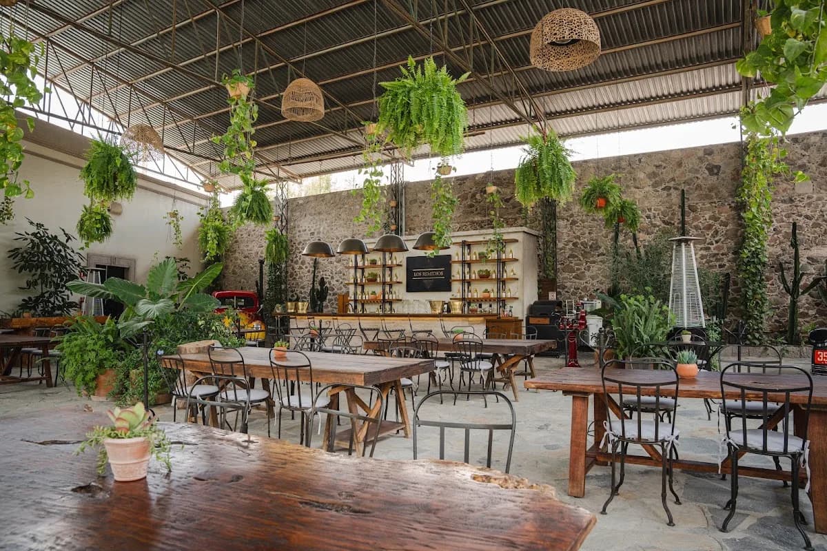Restaurante Viñedos Los Remedios
