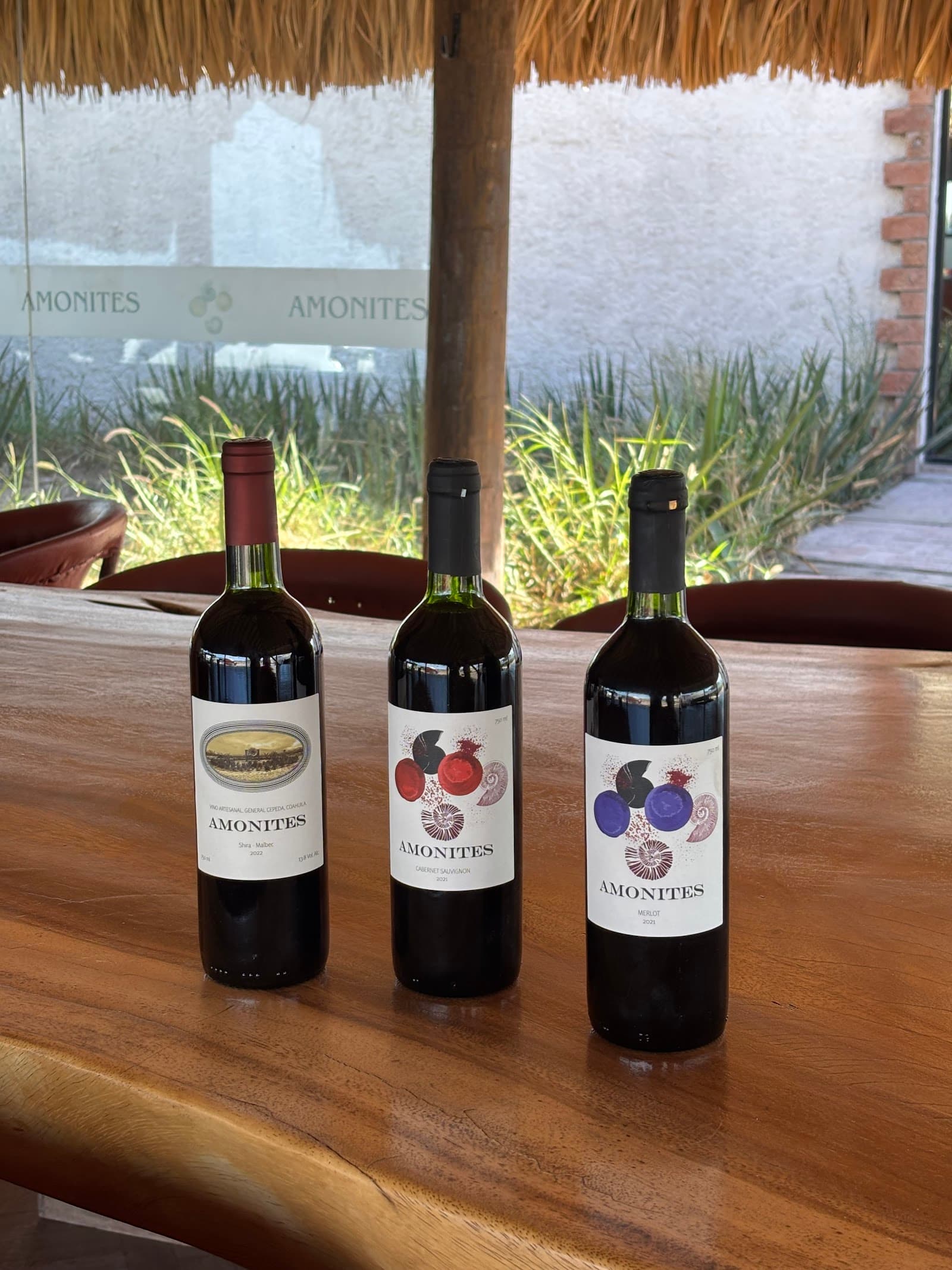 Viñedo Amonites