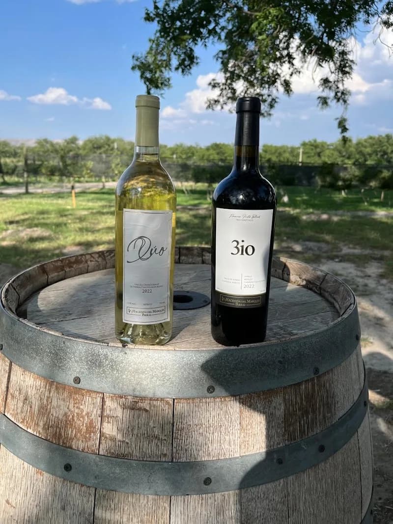 Viñedo "Hacienda del Marqués"
