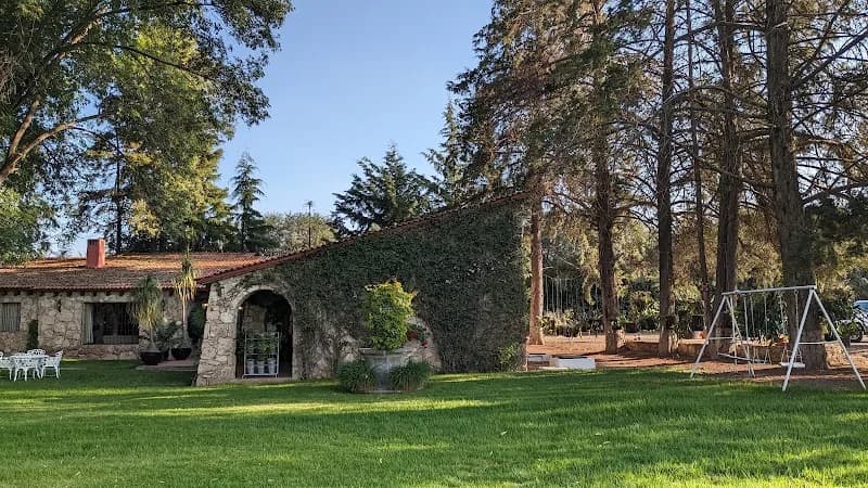 Viñedo Queretano