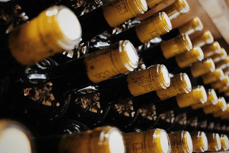 Viñedo San Miguel