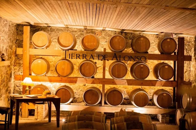 Viñedo Tierra De Alonso
