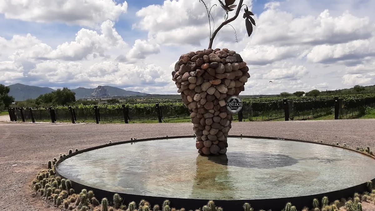 Viñedos del Jagüey