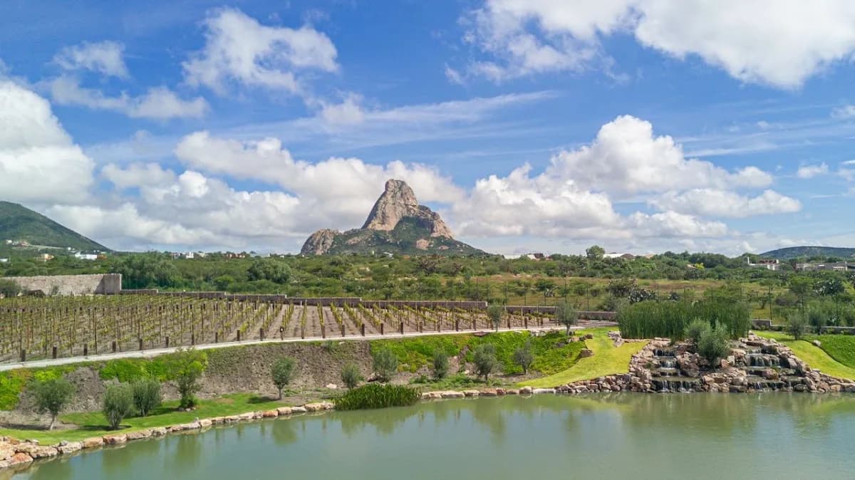 Viñedos Puertas de la Peña