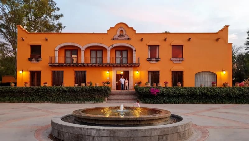 Viñedos Santa Mónica