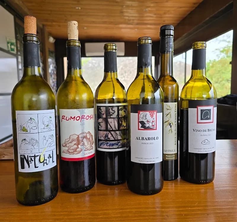 Viñedos Shimul
