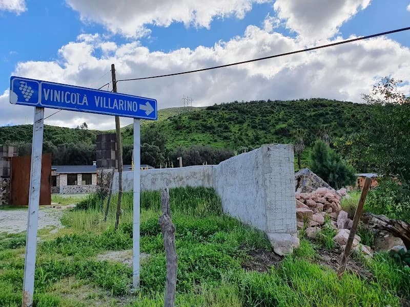 Viñedos Villarino