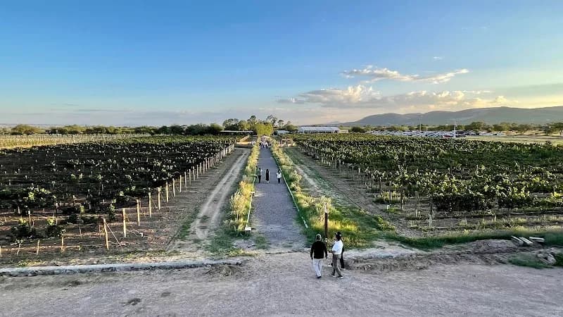 Vinícola el Aguaje