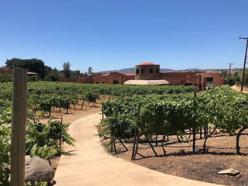Vinisterra