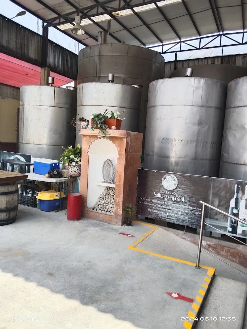 Vinos Santiago Apostol