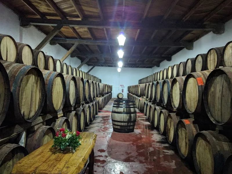 Wine Museum
