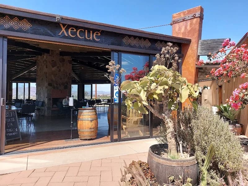 Xecue Vinicola
