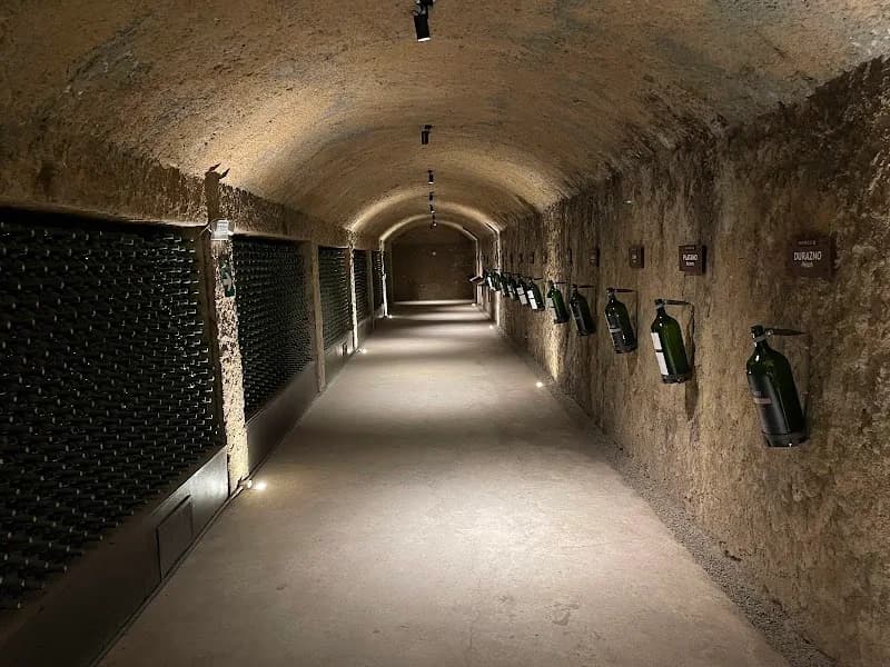 Domecq Winery