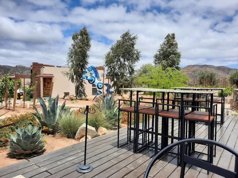 OJO AZUL, WINERY