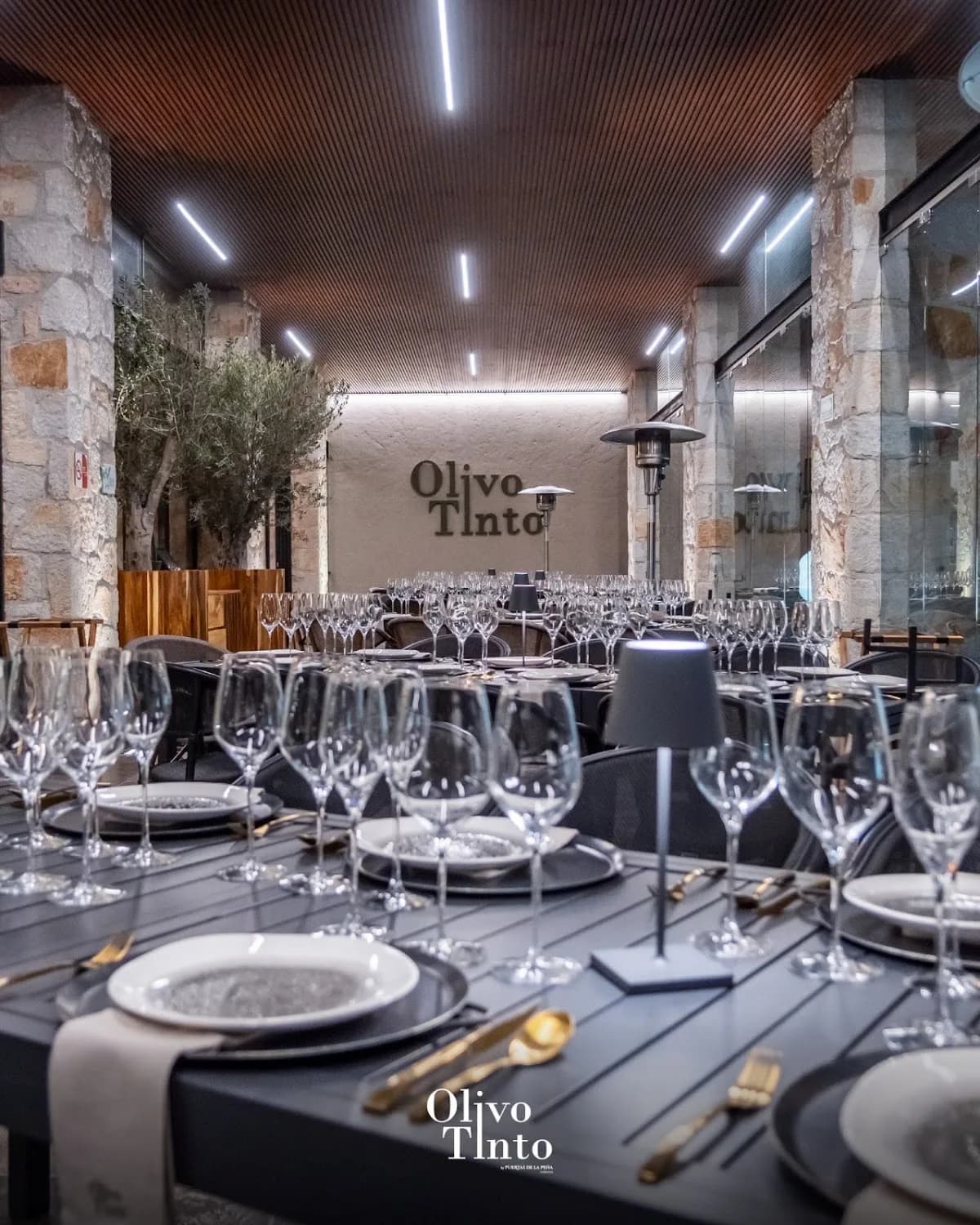 Olivo Tinto