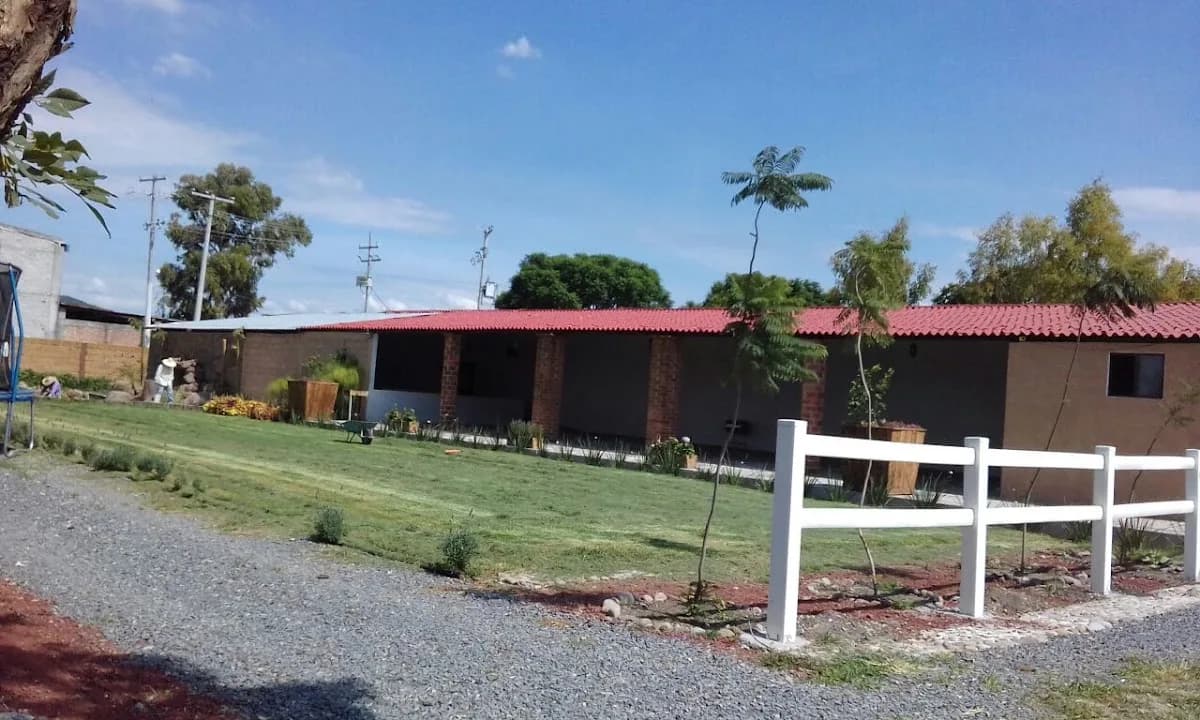 Viñedo San Rafael