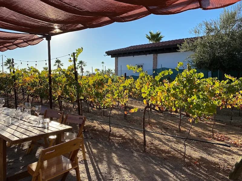 Vinos Lechuza