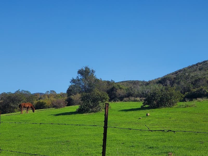 Baja Glamping photo 3