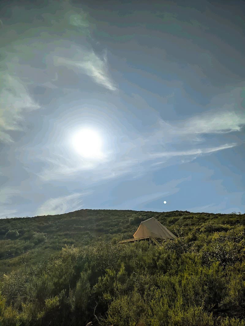 Baja Glamping photo 4