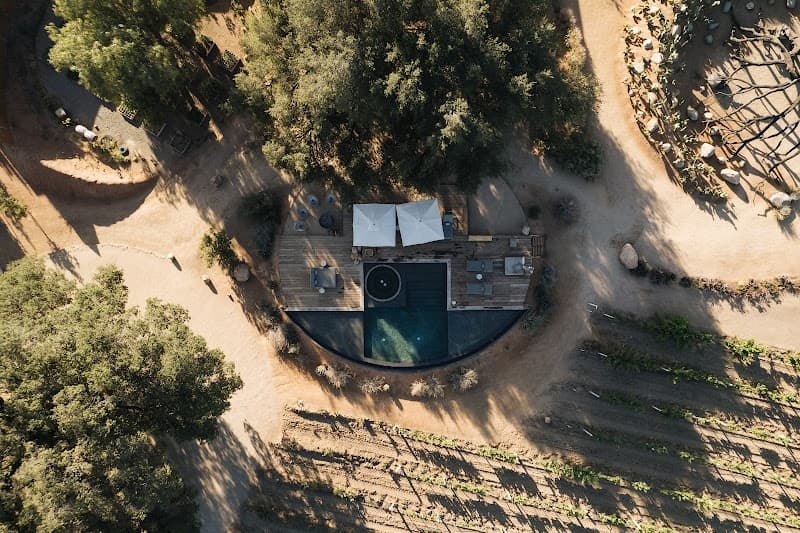 Bruma Valle de Guadalupe photo 3
