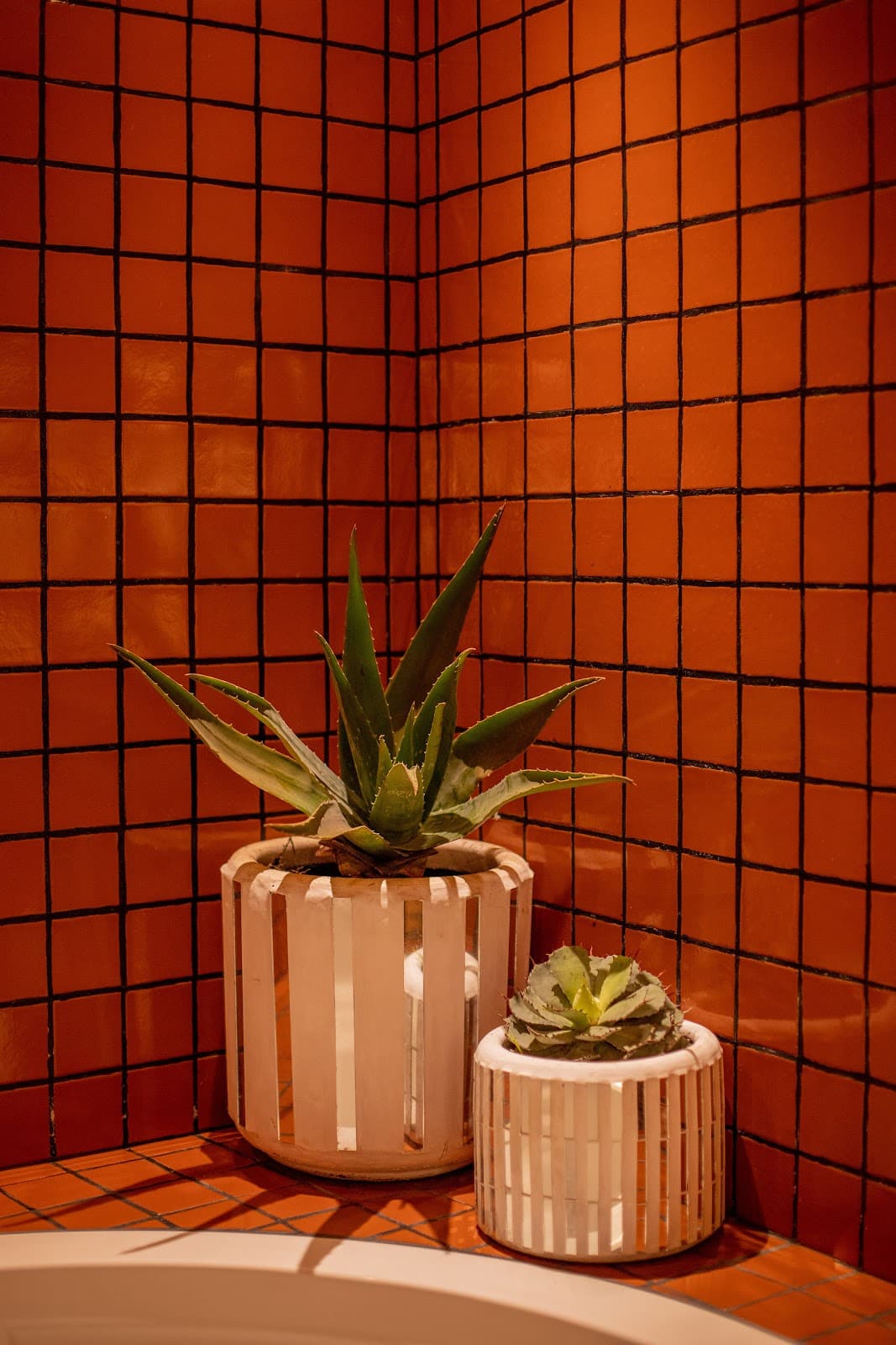 CASA HOYOS - HOTEL BOUTIQUE photo 5