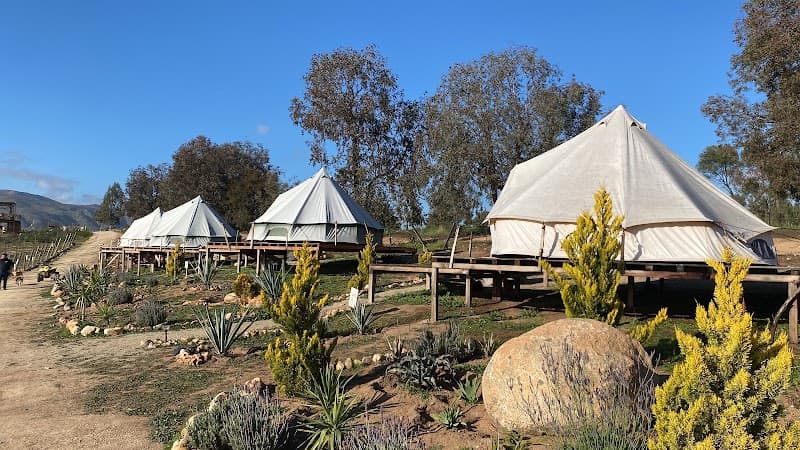 Cosmo Glamping photo 1