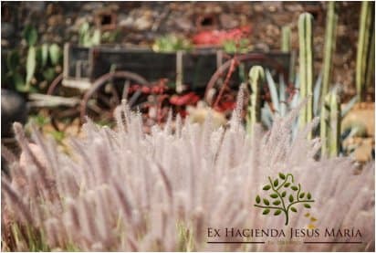 Ex Hacienda Jesús Maria photo 4
