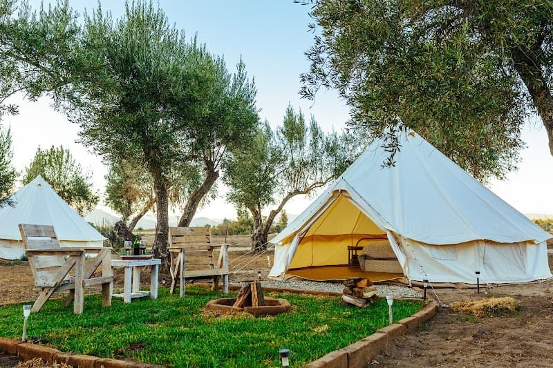 Guadalupe Valle Glamping photo 4