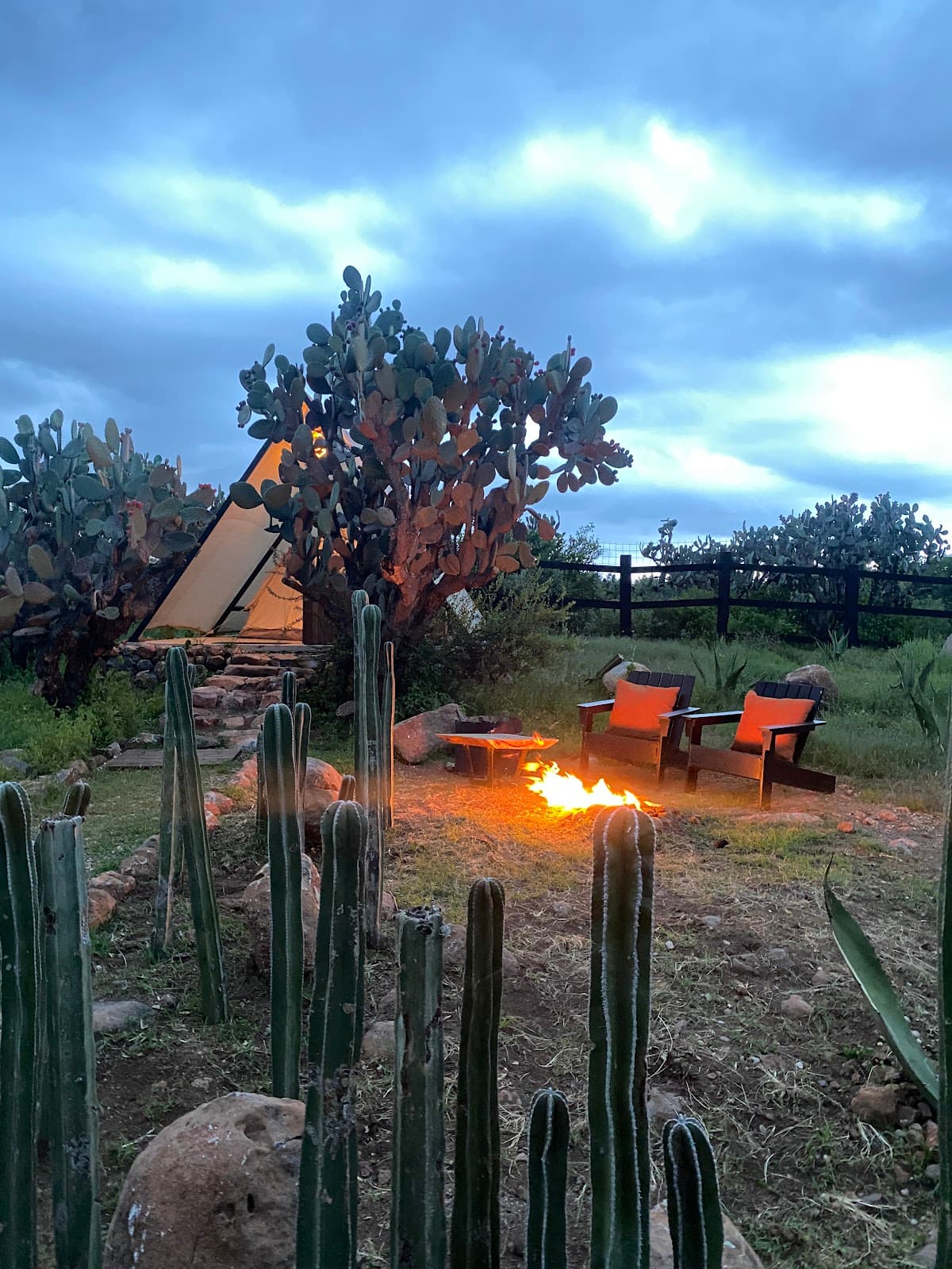Hurón glamping photo 4