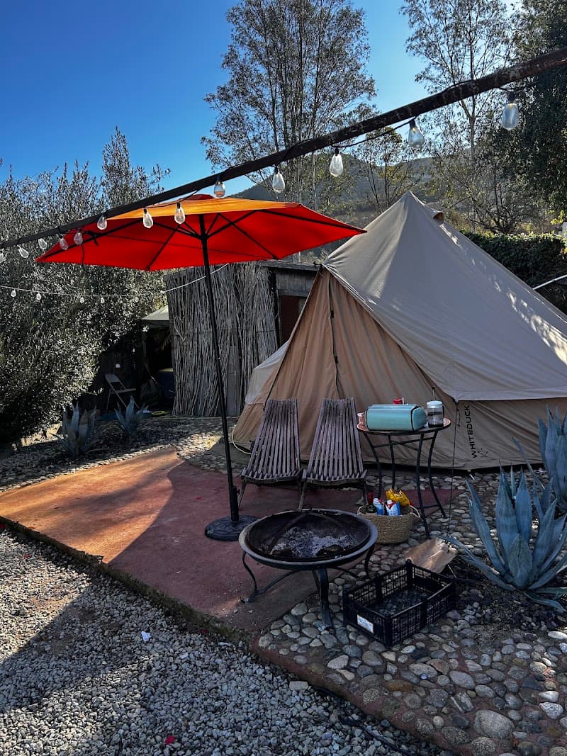 Indigo Glamping photo 4