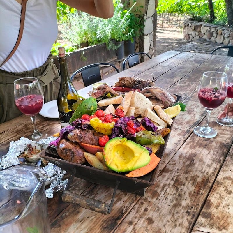 Nativo Vinicola photo 4
