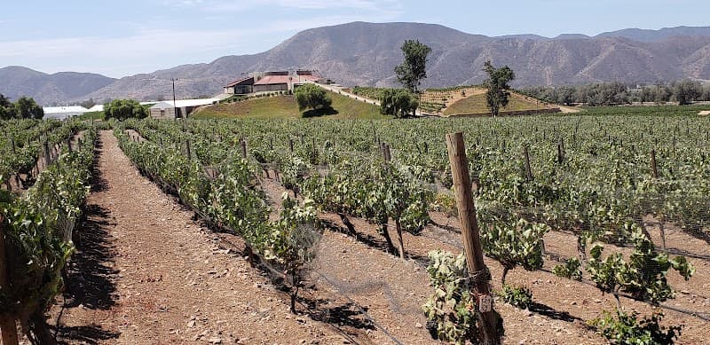 Valle San Vicente photo 1