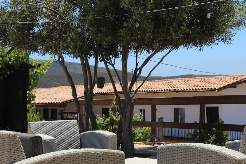 Viñas del Castillo Hotel Boutique & Vinícola photo 1