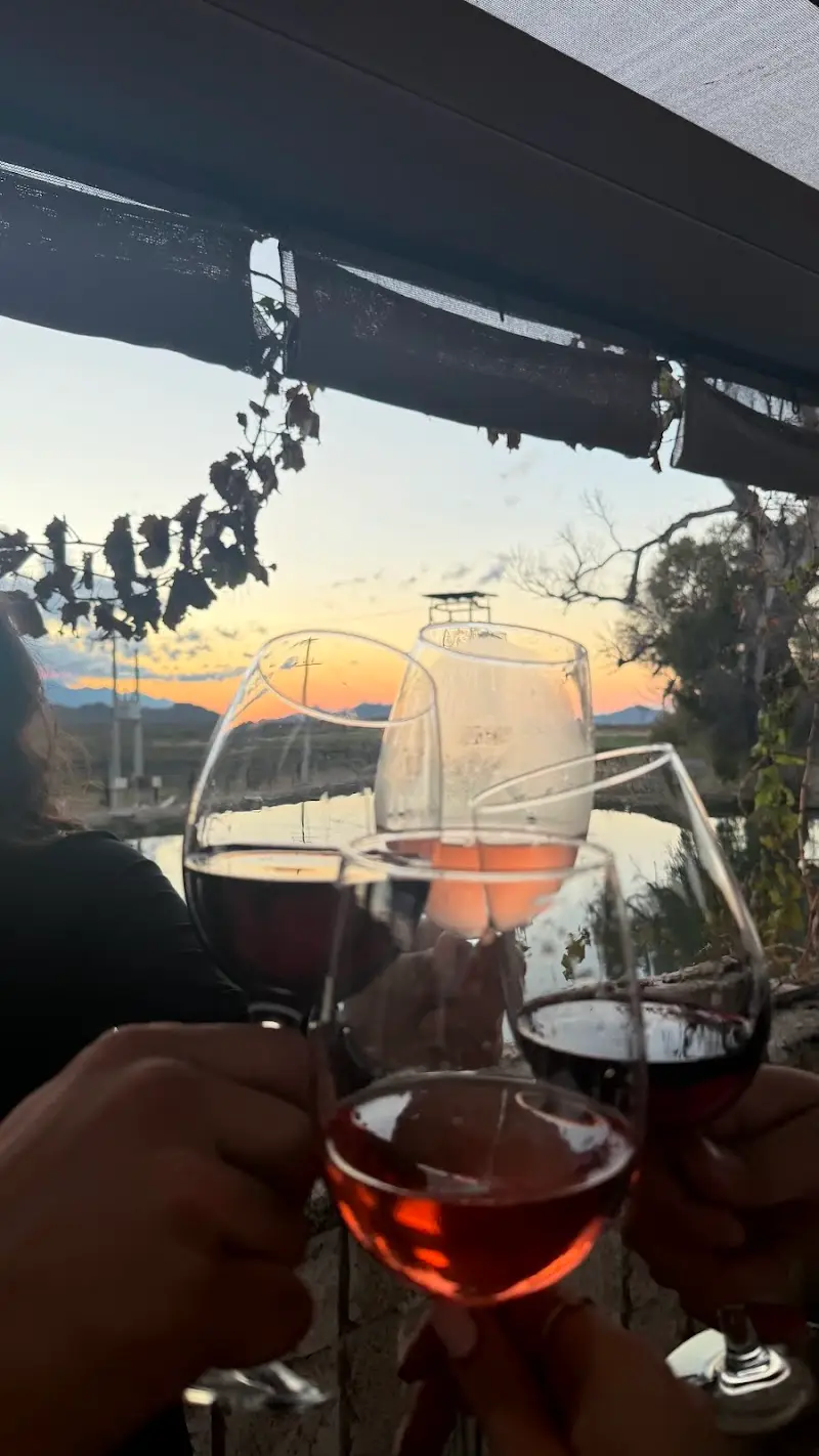 Mexican wine country