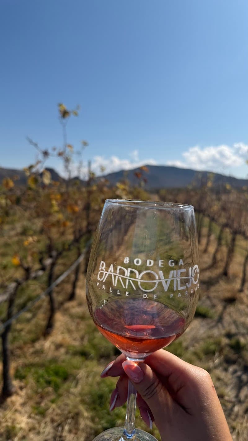 Bodega Barro Viejo photo 2