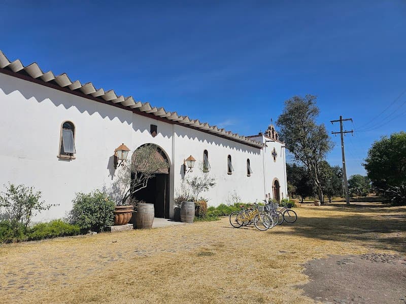 Bodega Dos Buhos photo 2