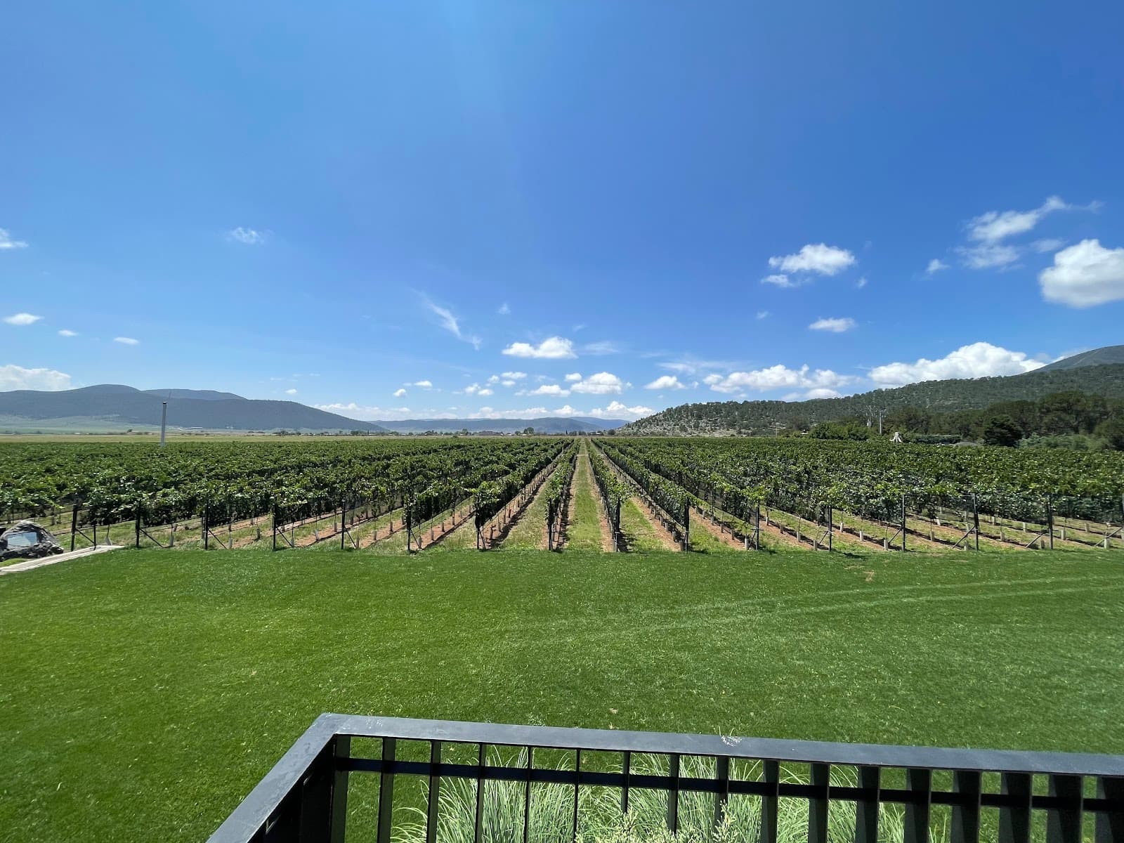 Bodega Los Cedros